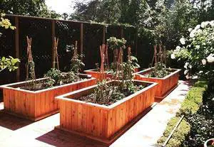 A group of wooden planters with plants in them.