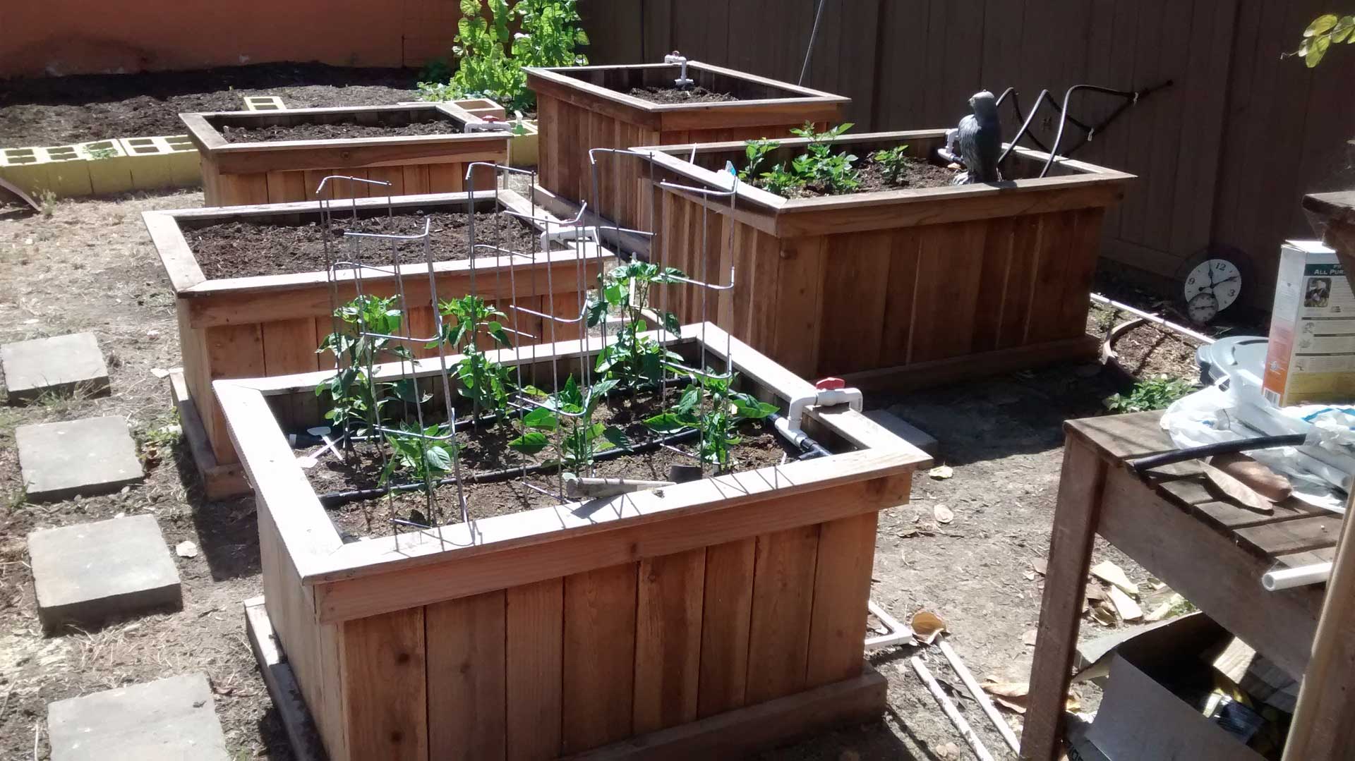A group of wooden raised garden beds in a backyard.