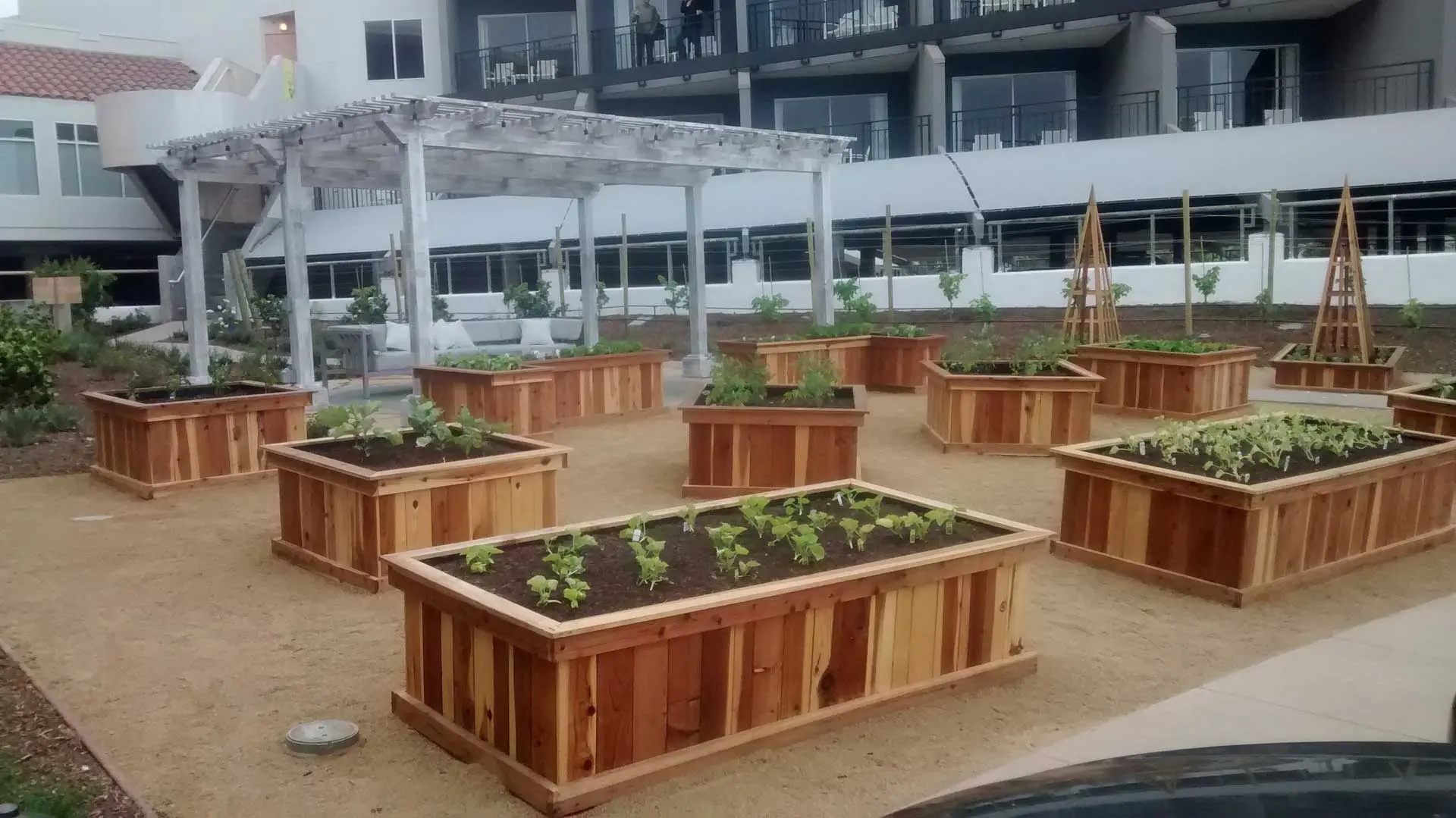 A wooden raised garden bed in front of a building.