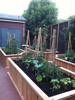 A raised vegetable garden in a backyard.