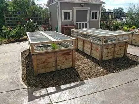 A couple of wooden boxes with plants growing inside them.