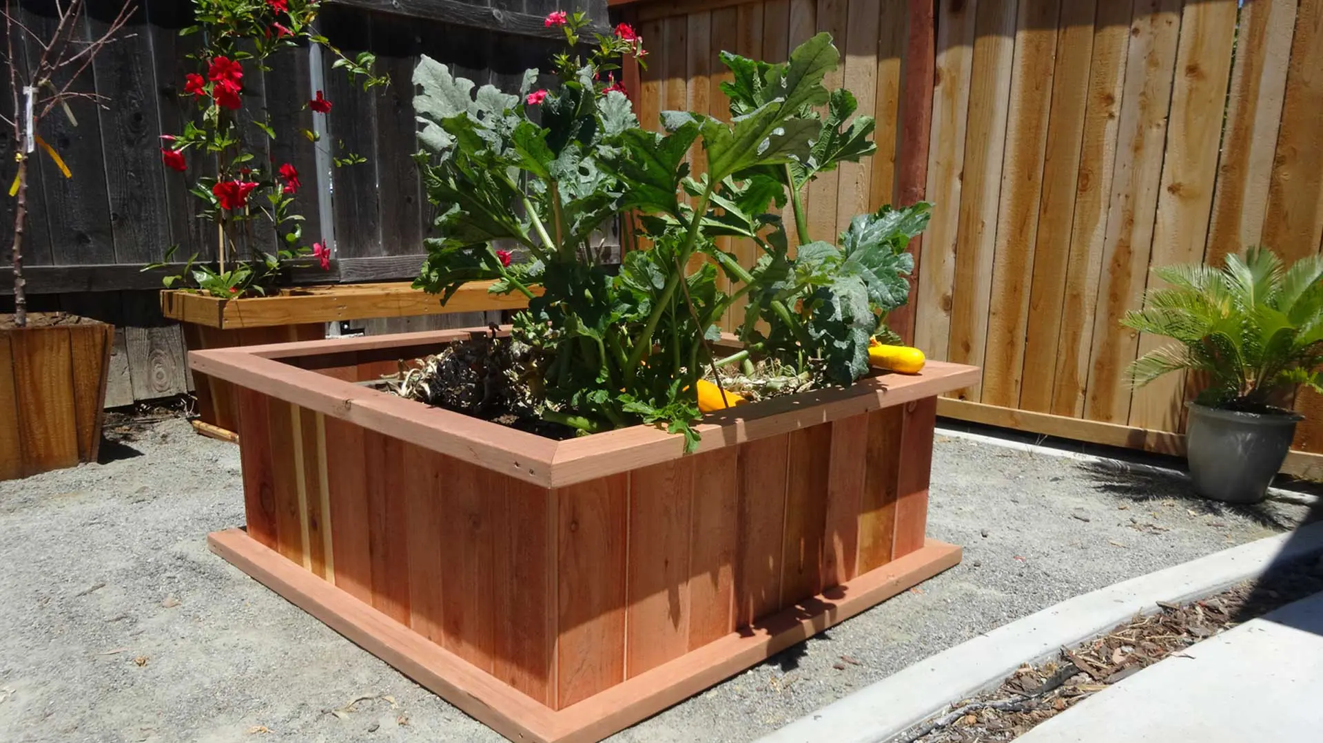 A wooden planter with vegetables in it.