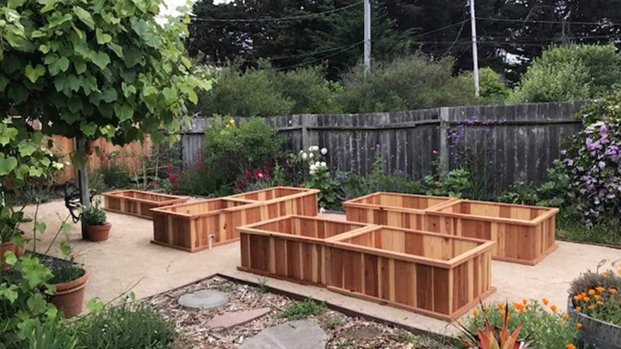 A garden with many wooden boxes in the middle of it