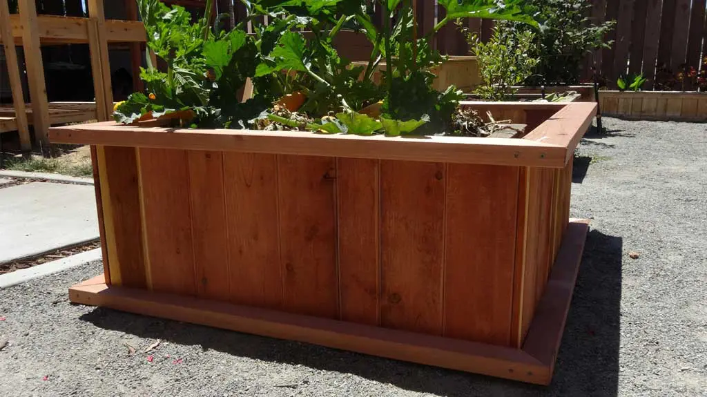 A wooden raised garden bed with vegetables in it.
