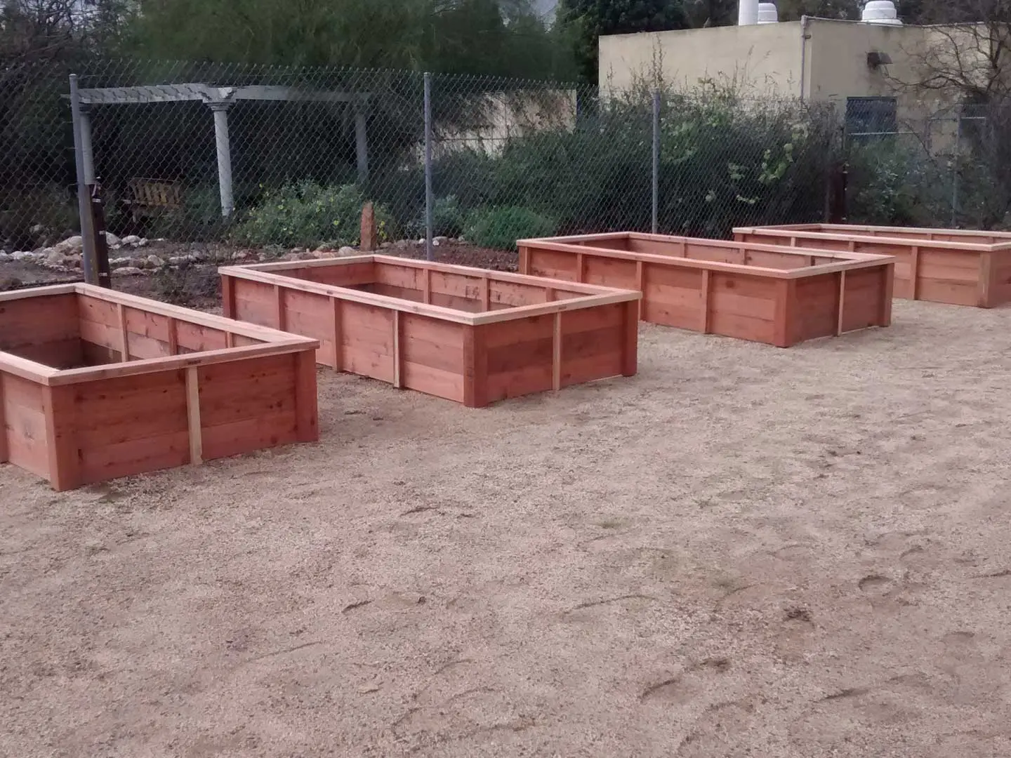 A group of raised garden beds in a dirt yard.