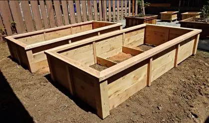 Two wooden raised garden beds in a backyard.