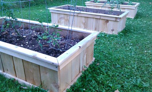 Three wooden raised garden beds in a grassy area.