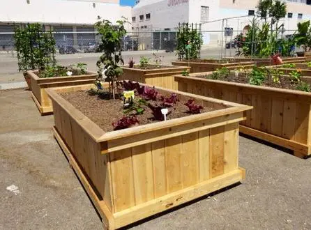 A group of wooden raised garden beds in a parking lot.