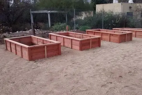 Four wooden raised garden beds in the sand.