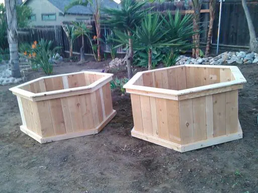 Two wooden planters in a dirt yard.