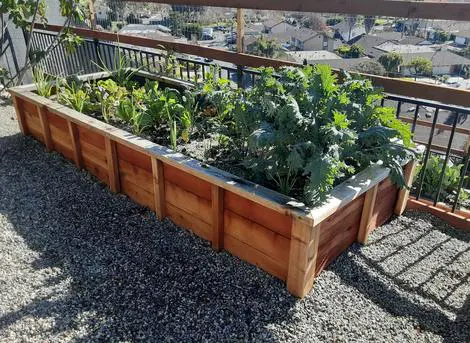 A wooden raised garden bed on a balcony.