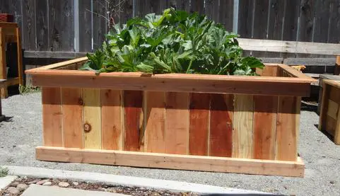A wooden planter with vegetables in it.