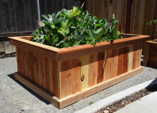 A wooden raised garden bed with plants in it.