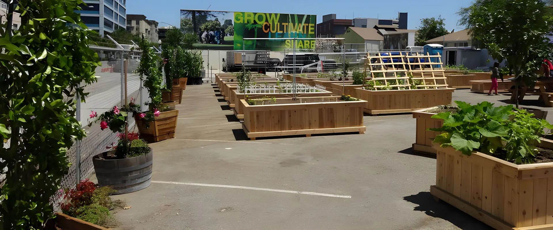 A row of wooden planters in a parking lot.